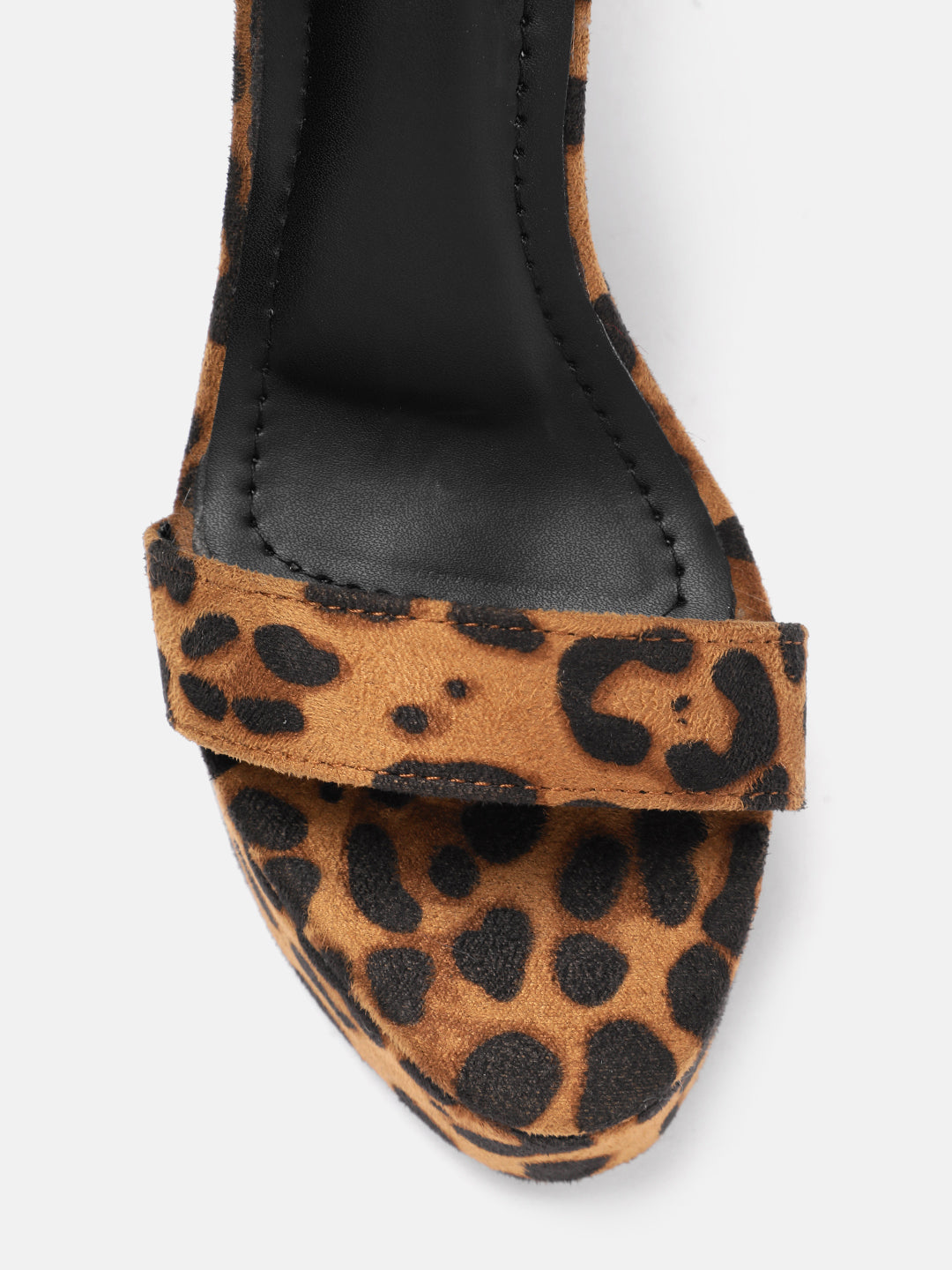 SAFARI