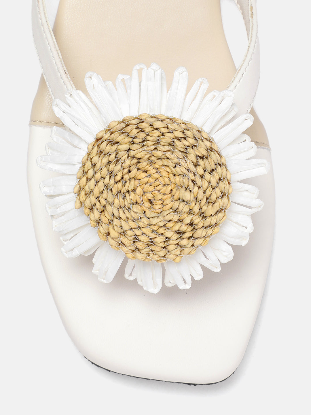 DAISY